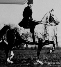 Hopeton D. Atterbury. First woman President of the Club, 1907, 1909