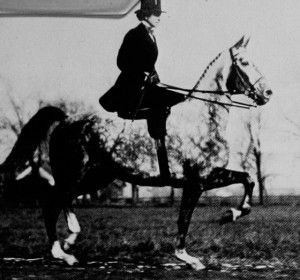 Hopeton D. Atterbury. First woman President of the Club, 1907, 1909