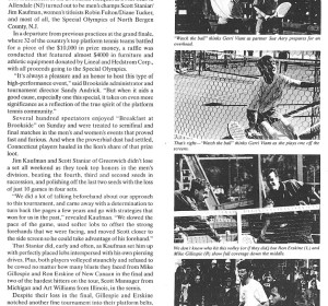Platform Tennis News, Spring 1994