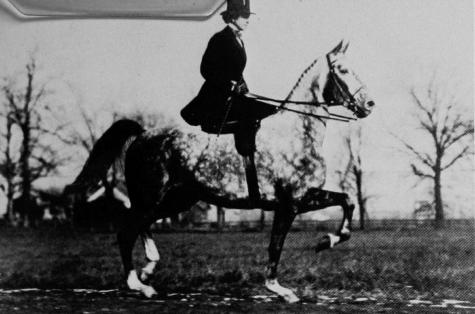 Hopeton D. Atterbury, First woman President of the Club 1907,1909