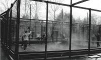 Steam rises from a heated court at the 1994 National Championships held at Fox Meadow Tennis Club. The last Men's and Women's Nationals to be held at Fox Meadow