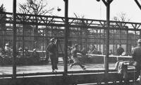 1953 Mixed Nationals at Fox Meadow Tennis Club